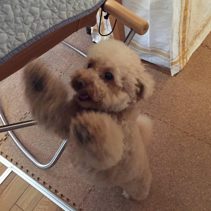 480cbc24 6e35 4d3d 9b9c 07bbd3cb3c92