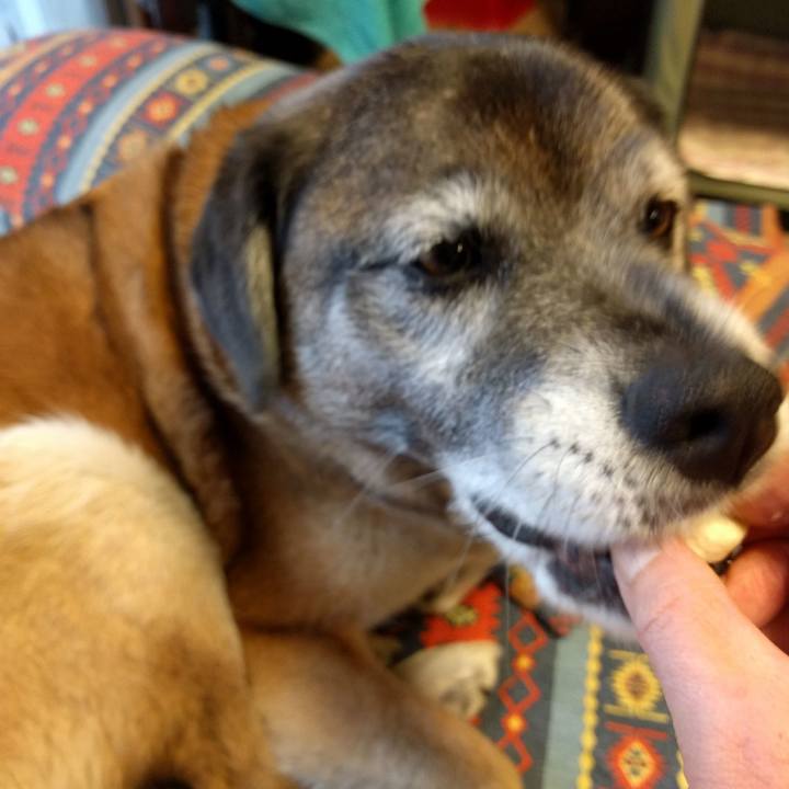 480ce9a0 b199 43e7 afc1 6948911696ad