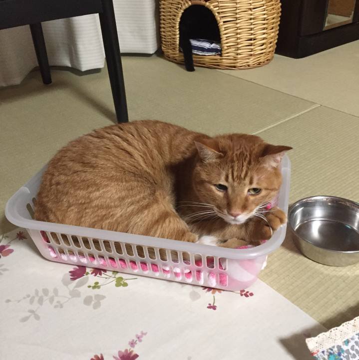 480d7017 8ea8 4b10 ac2d 97260037765d