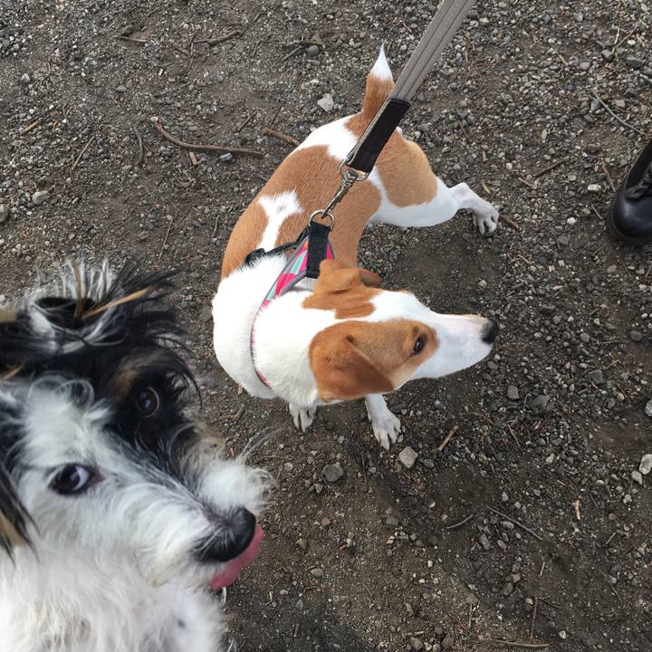 480dcfda 3dd1 4b24 bc59 8602fdd3b25b