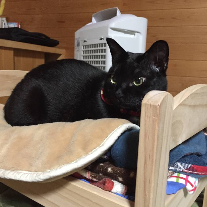 480e7155 3857 4f4a ab99 7c09f3afd953