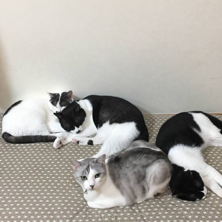 480eb958 19fa 40d8 ac62 f2f4923d5bbf