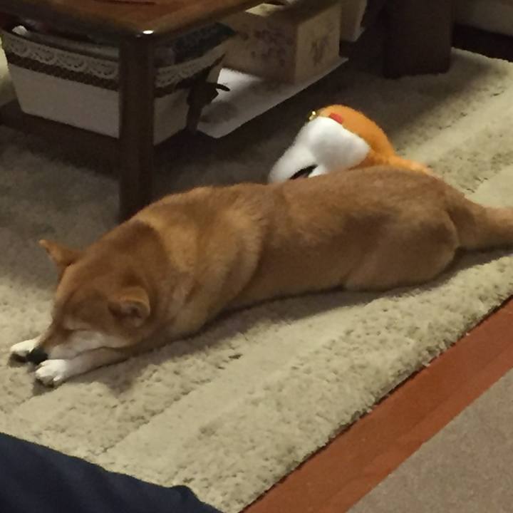 480f257d adc0 4d26 bf79 67b936bfcc7e