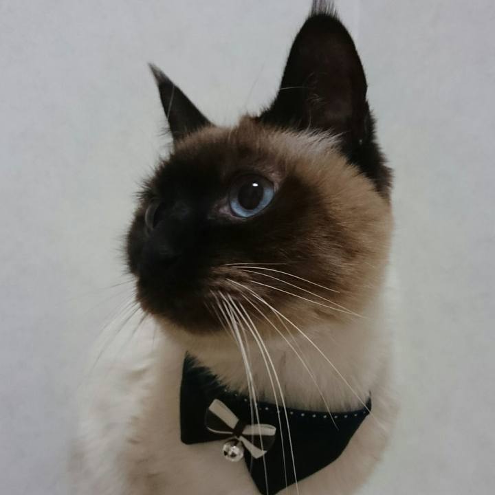 48109ce5 1aed 4714 9428 74df6af7ab58