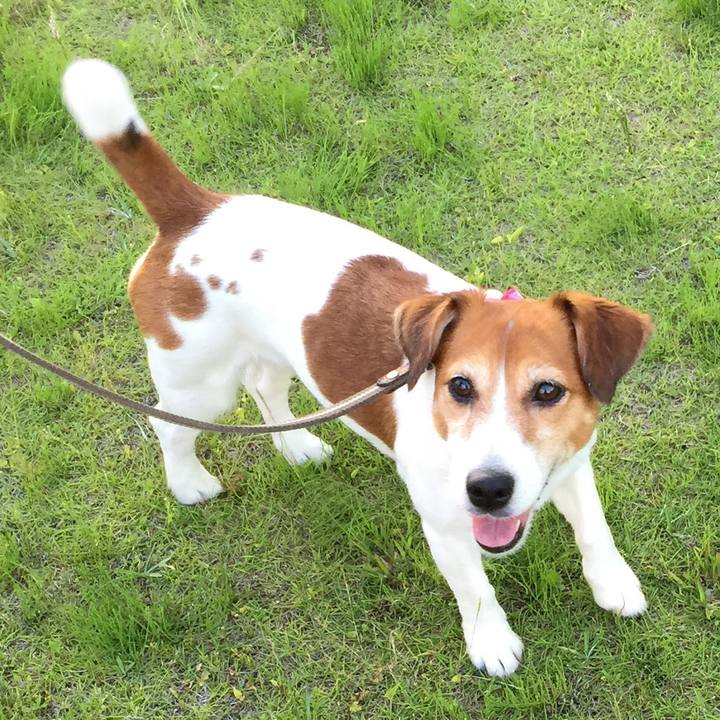 48112eef 8e08 4ac3 b607 2deecbaa74fd