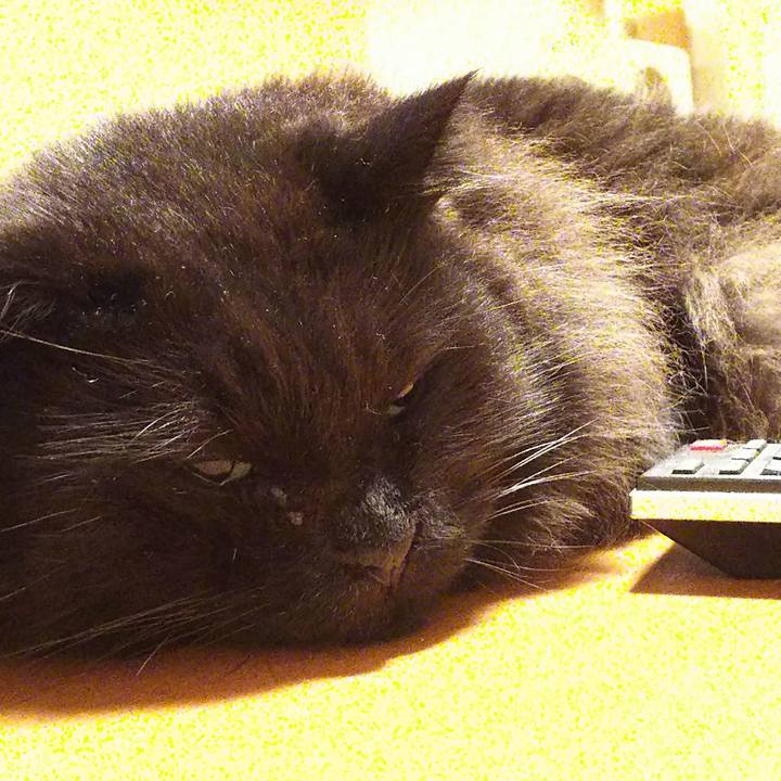 4811500f 2310 44cd 8c4b 2a71c2108fd0