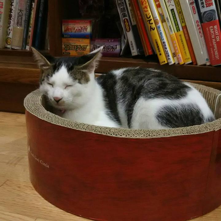 48119915 9e4a 4f71 8ecc fd5bb5f943d5