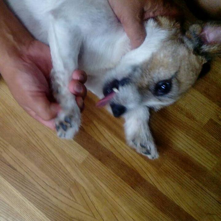 48119d02 7273 4589 b8df a8c099d7fdad