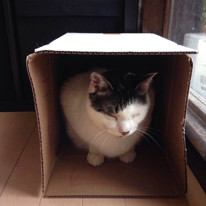 4811da35 794f 4aa0 98b5 eb3bf605f9e2