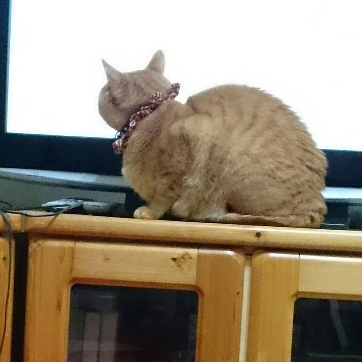 481219f1 72b1 4fa2 8c9c 185af8c22a4e