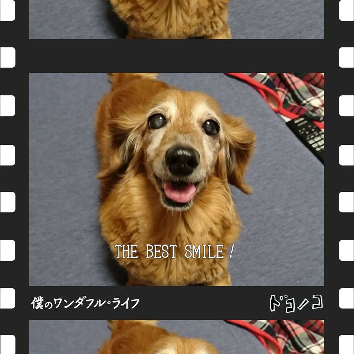 48121b7a 391c 4342 bd02 00c0ff172f9f