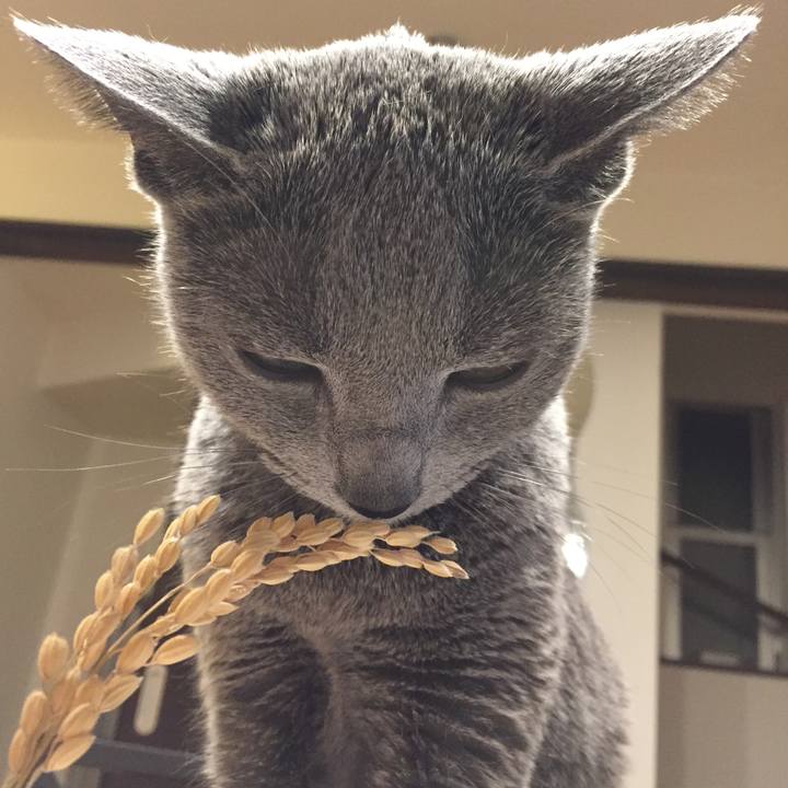 48123c32 e315 4f9f a830 013c8a934ed2