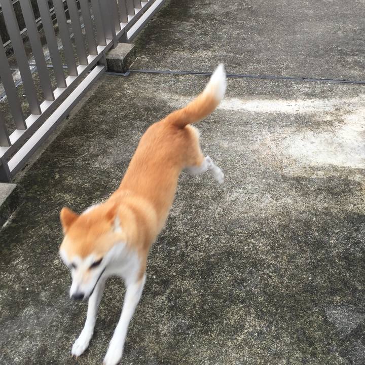 4812a606 9abe 4f7e baeb 7d6c0be5f05b