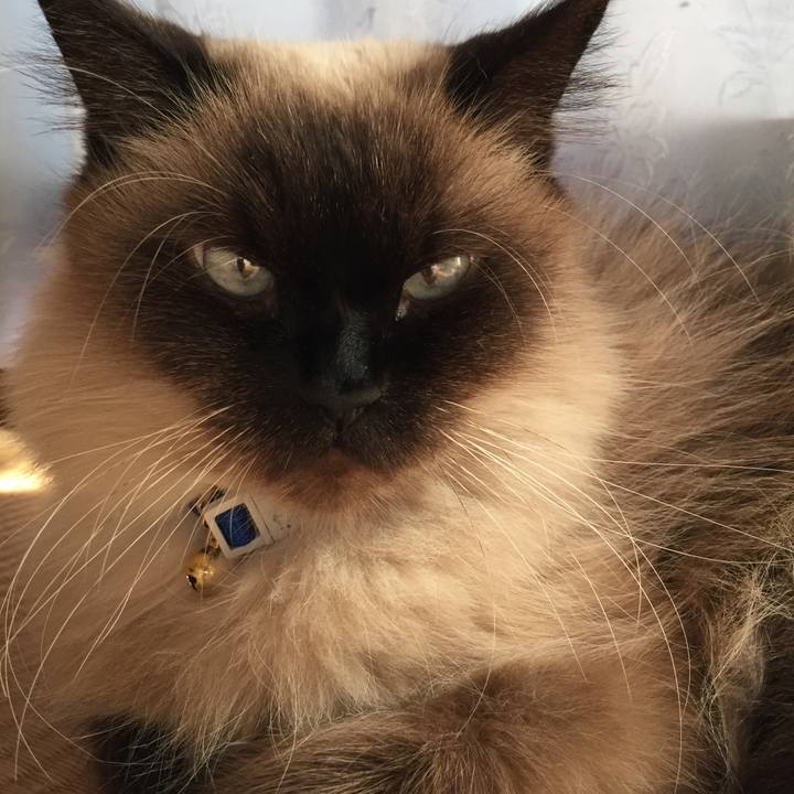 4812e2c7 baf4 4836 ab94 18e90e3a4370