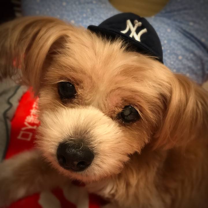 48132006 41ef 4aeb 8612 eb59d5391d2c