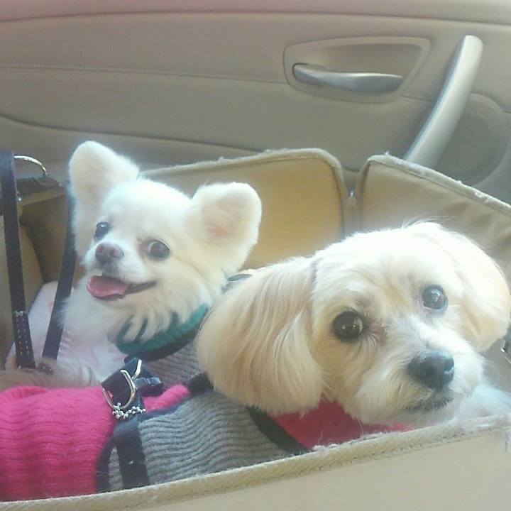 481379d7 92e9 49f6 b14f 49e7ed0ce35d