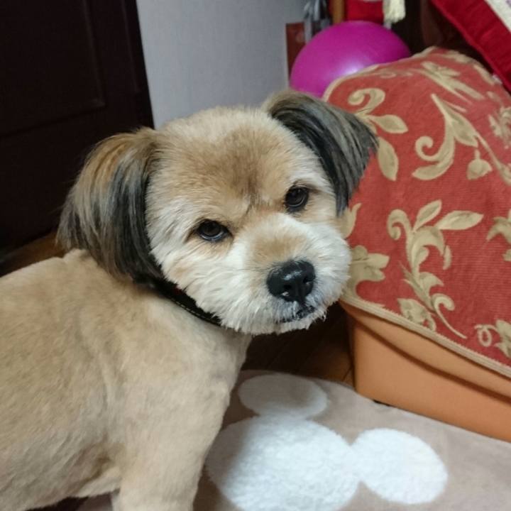 48144323 c8d4 41ed 9819 c1b1fdc02972