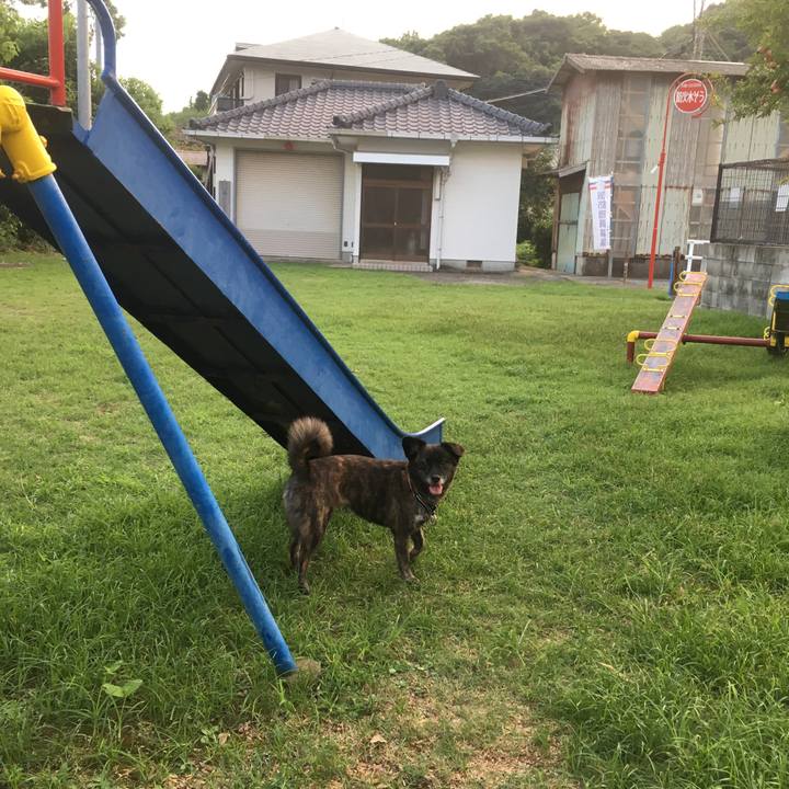 48147822 df42 4c22 832c 6e520e33b9a3