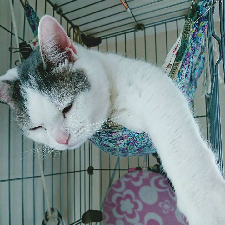 4814a968 3daf 4432 9034 9840d6f0c52d