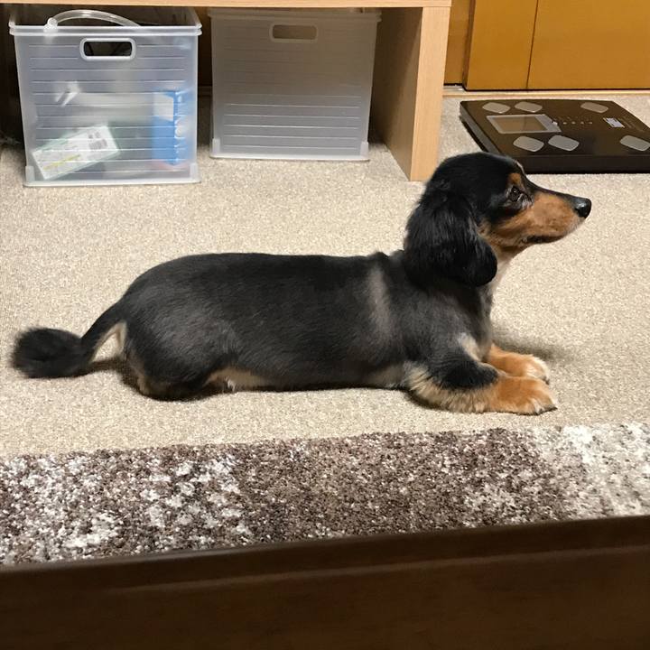 4814bcdf 1afd 4bad 953b 3c48659e7362