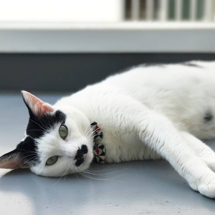 4814d01a 8561 4a9d 9c3e 2d2eb3b976e4