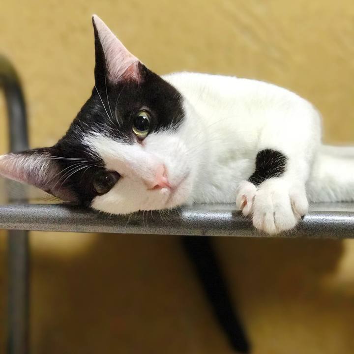 4814dd91 e60f 435b 9473 cc561179edac