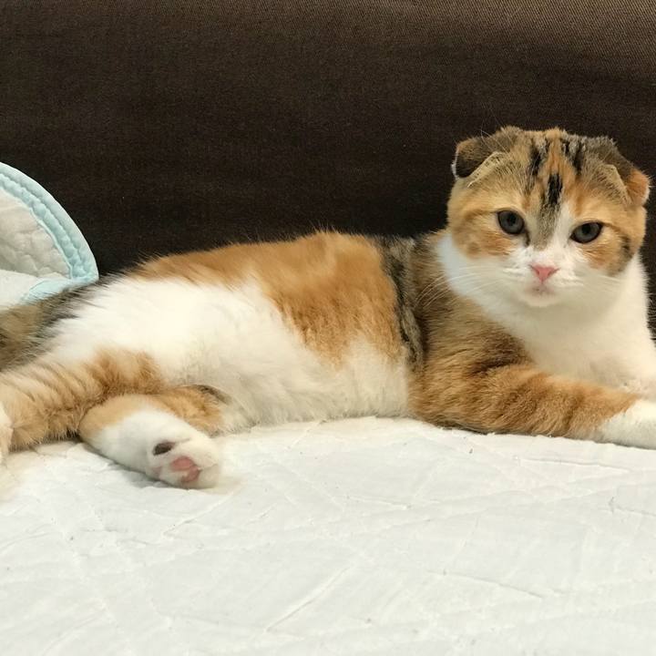 48156c94 d13e 41d4 b6b7 8d2400e0b787