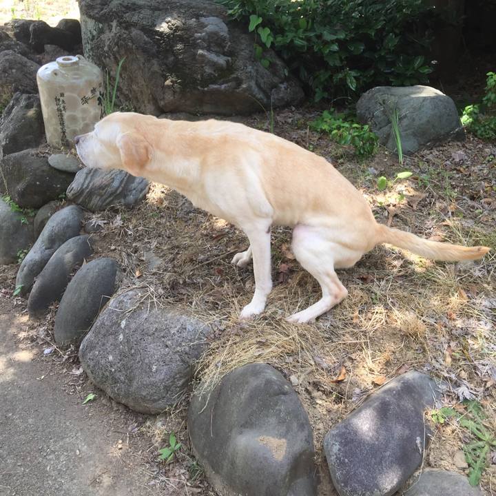 4816757a bc74 450d aa87 e91e24a8fba6