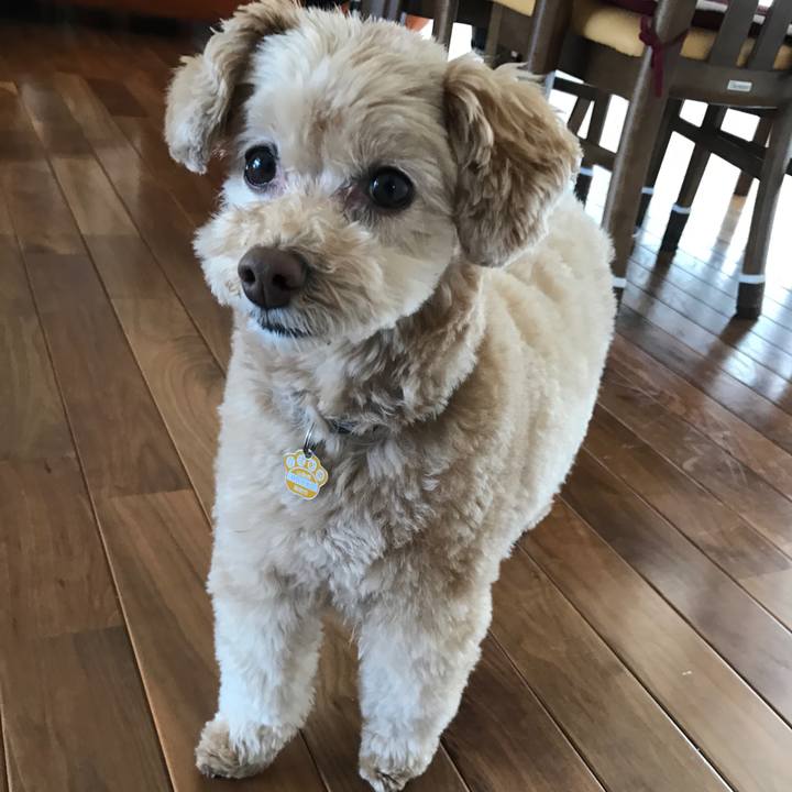 4816e3c3 84b3 4501 91c4 ecfe0d2aa066