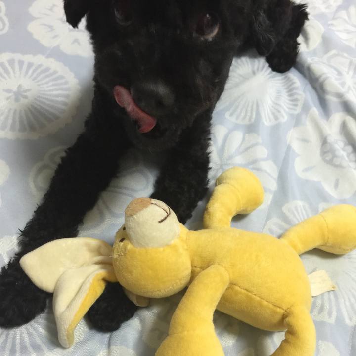 4816fc3a 2931 4cb5 9aa7 299e3005e61e