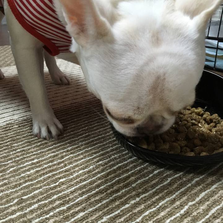 4817872b 6ae8 4f65 908e e55b47017f01