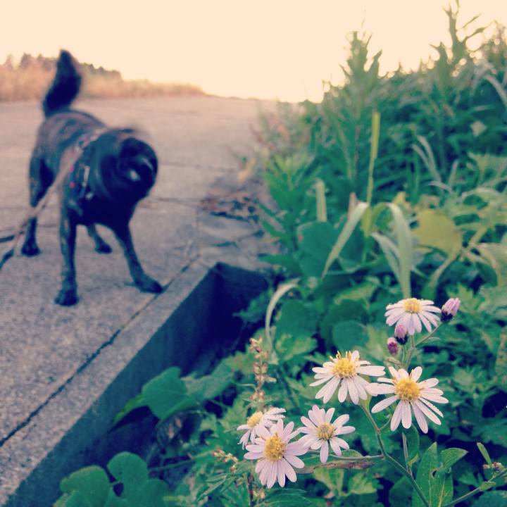 4817a0f7 a311 44c8 8c75 b8c9cb14a612