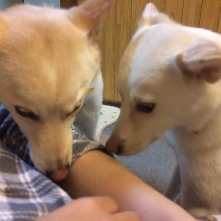 4817f1b8 9700 4711 b769 7f769f0a4eba