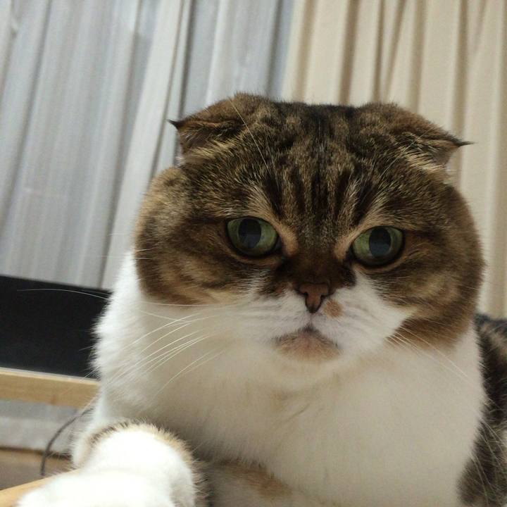 48182721 effe 4f6c a4c3 8f91aeab14b0