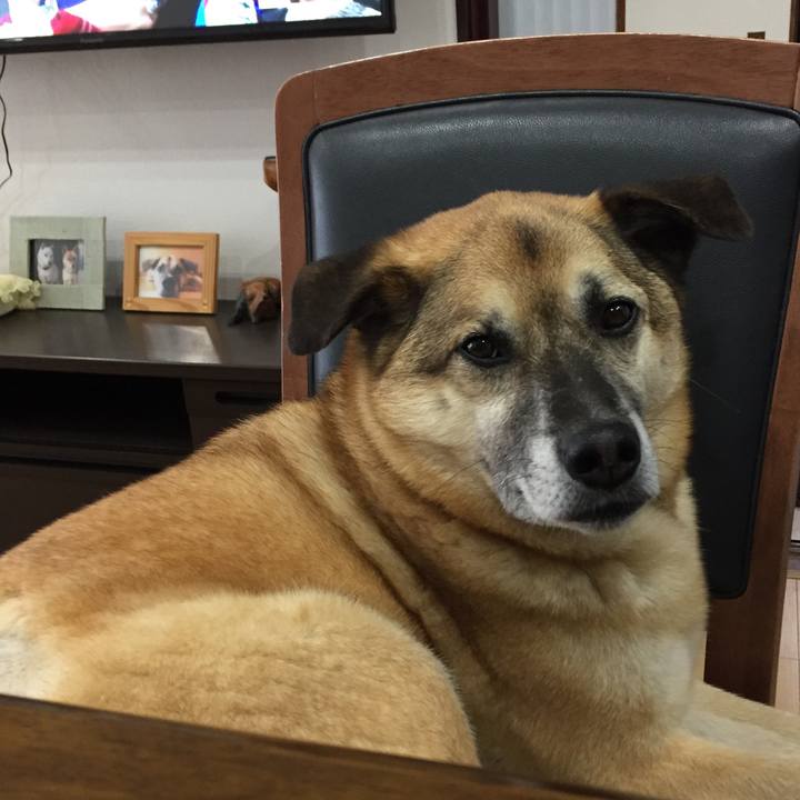 48182766 8018 4a0c 91ee e7cf044285a4