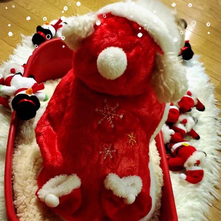 4818459d 88cc 4144 b284 a637101829ee