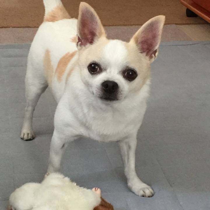 4818aad6 35a2 4041 950b 859aac0f6365