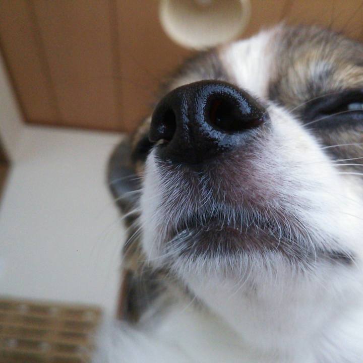 4818d4e7 395e 4e14 873d fc242b874131