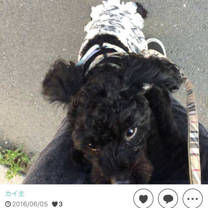 481acda0 8ef3 4cb7 80cb 115913a9bd75