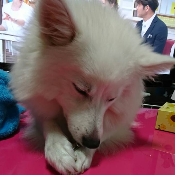 481b45e9 71d5 4db6 948c b6e5bd817cdb