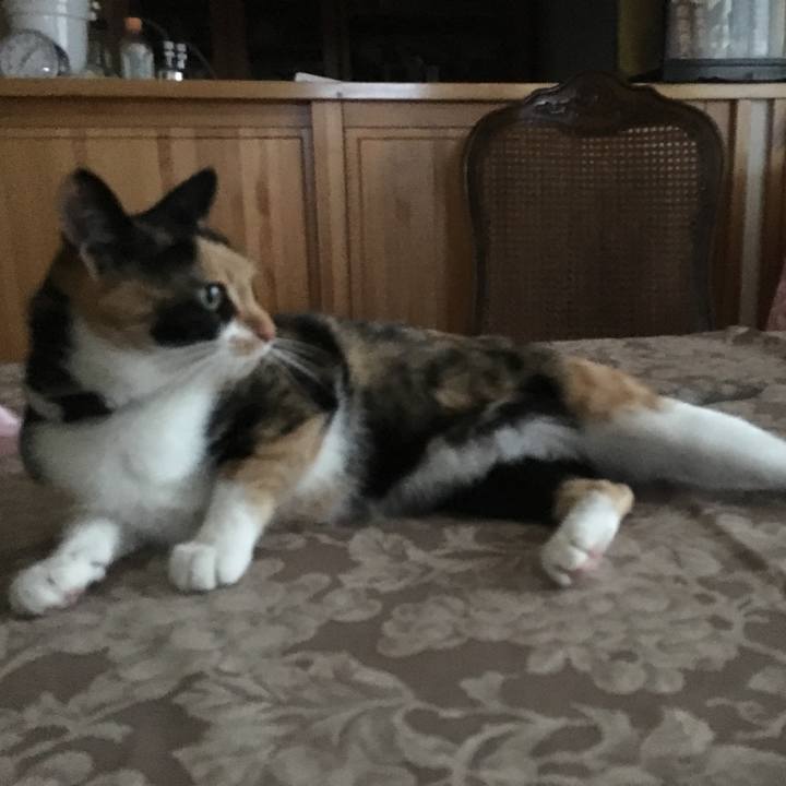 481b47b8 37c9 4519 9df9 1d569b93fc12