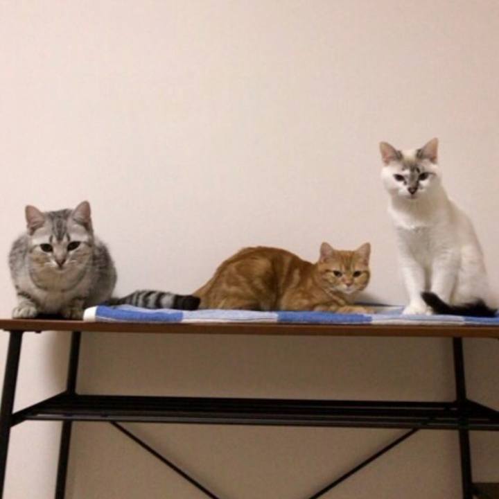 481b5646 beae 4d93 824a 2cff2de6877d