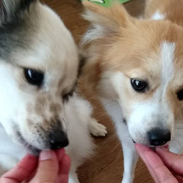 481b5bc5 002f 4e4b a20e eea0b3464c1f