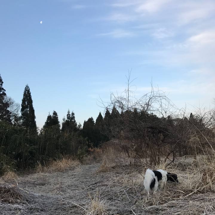 481b5d68 d74c 4136 8b00 4a2a2f918376