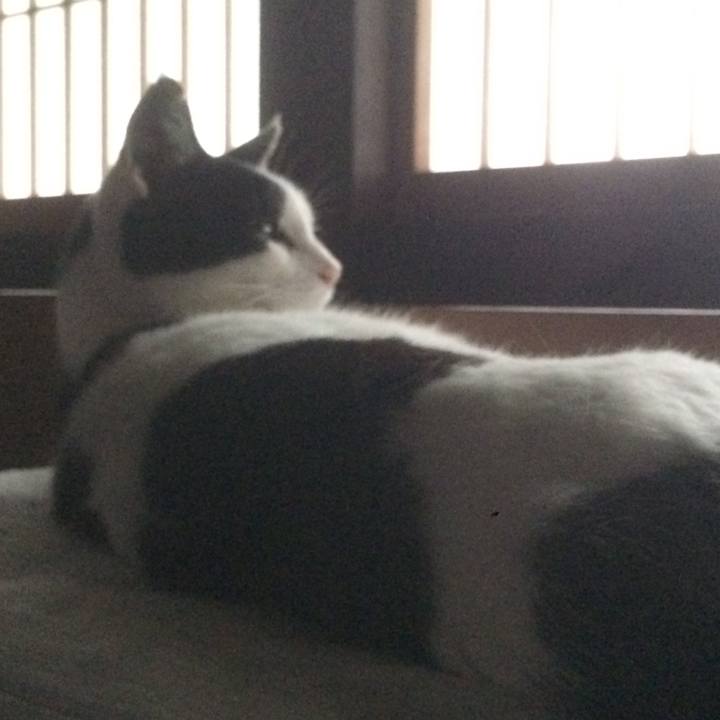 481baeca 8c83 43d0 ae14 75198ca34d67