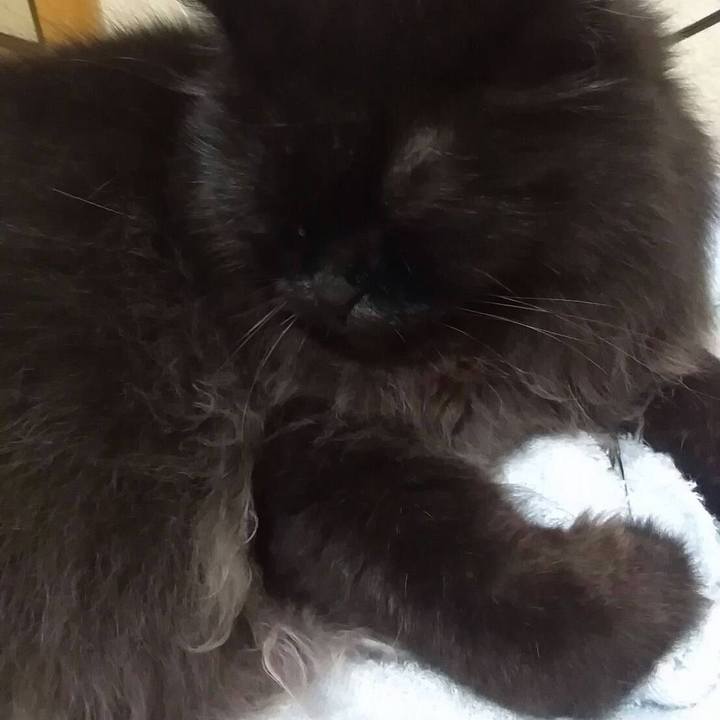 481bdd1c 9445 4ddc 8623 193905333d2b