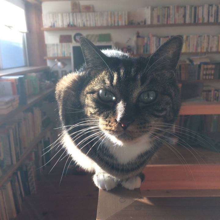 481c3910 6fec 4015 acb2 2f5f81ce56a2