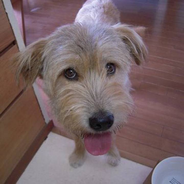 481c4cac f983 4423 b803 30d4b75cae4a