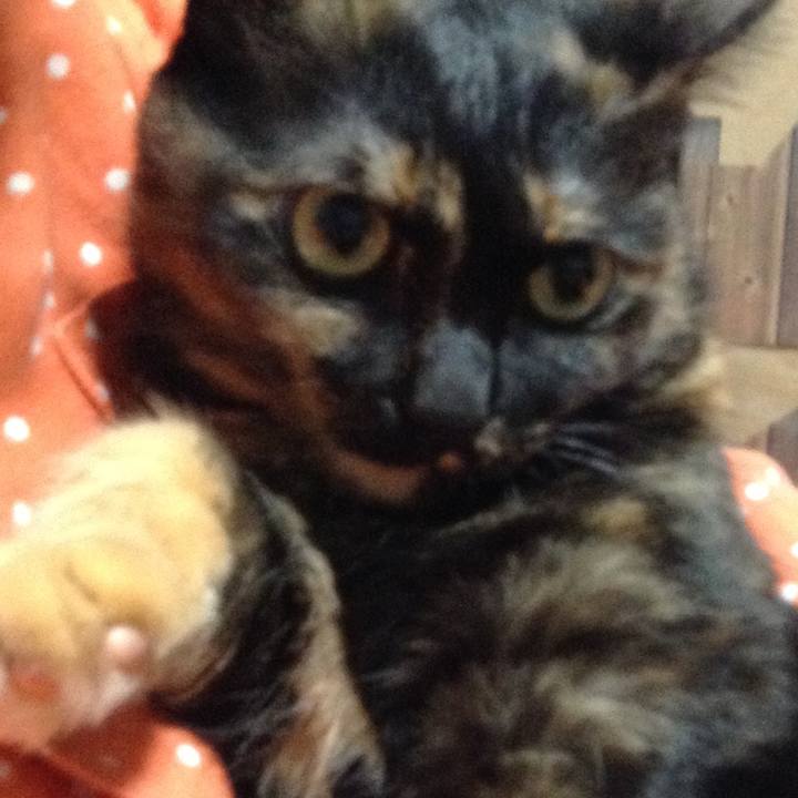 481ca27e 9ba6 4120 aa2d e47cab2e25c5