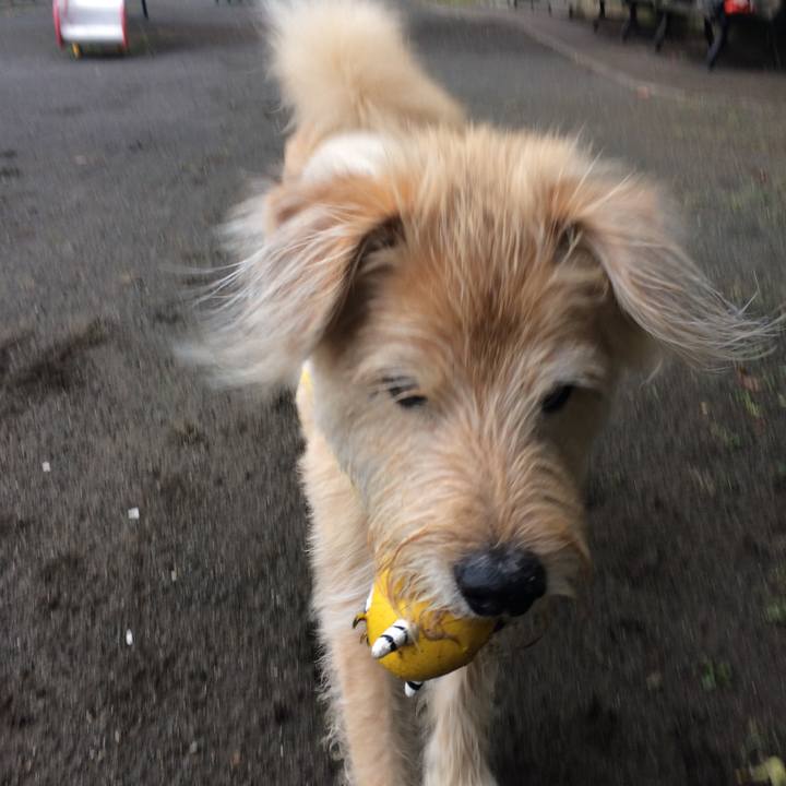 481d2fc0 16ff 4940 8481 568c66282751